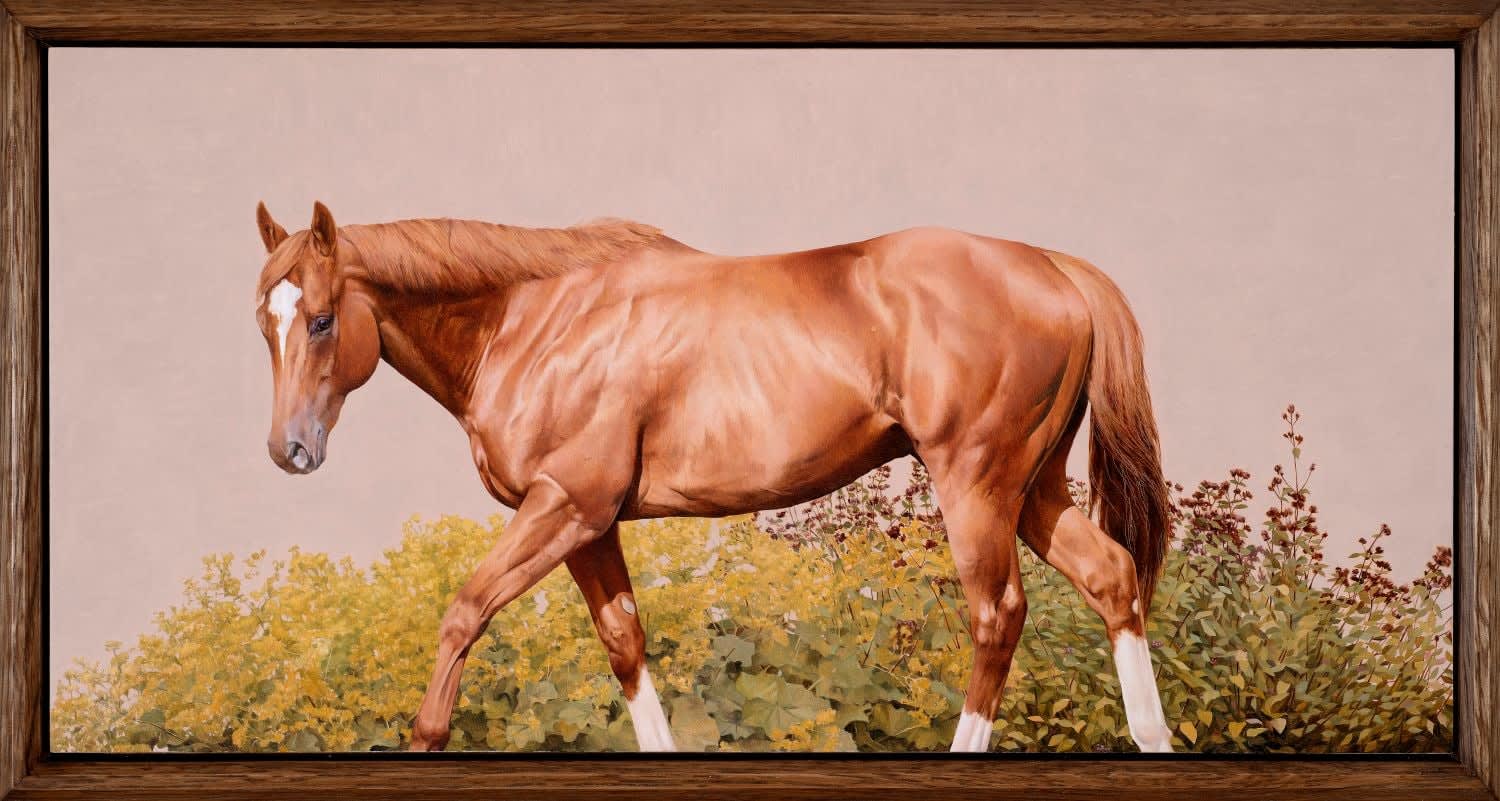 Joseph Black, Transition, 2025