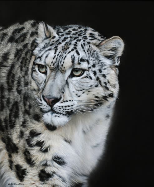 Gary Stinton, Snow Leopard