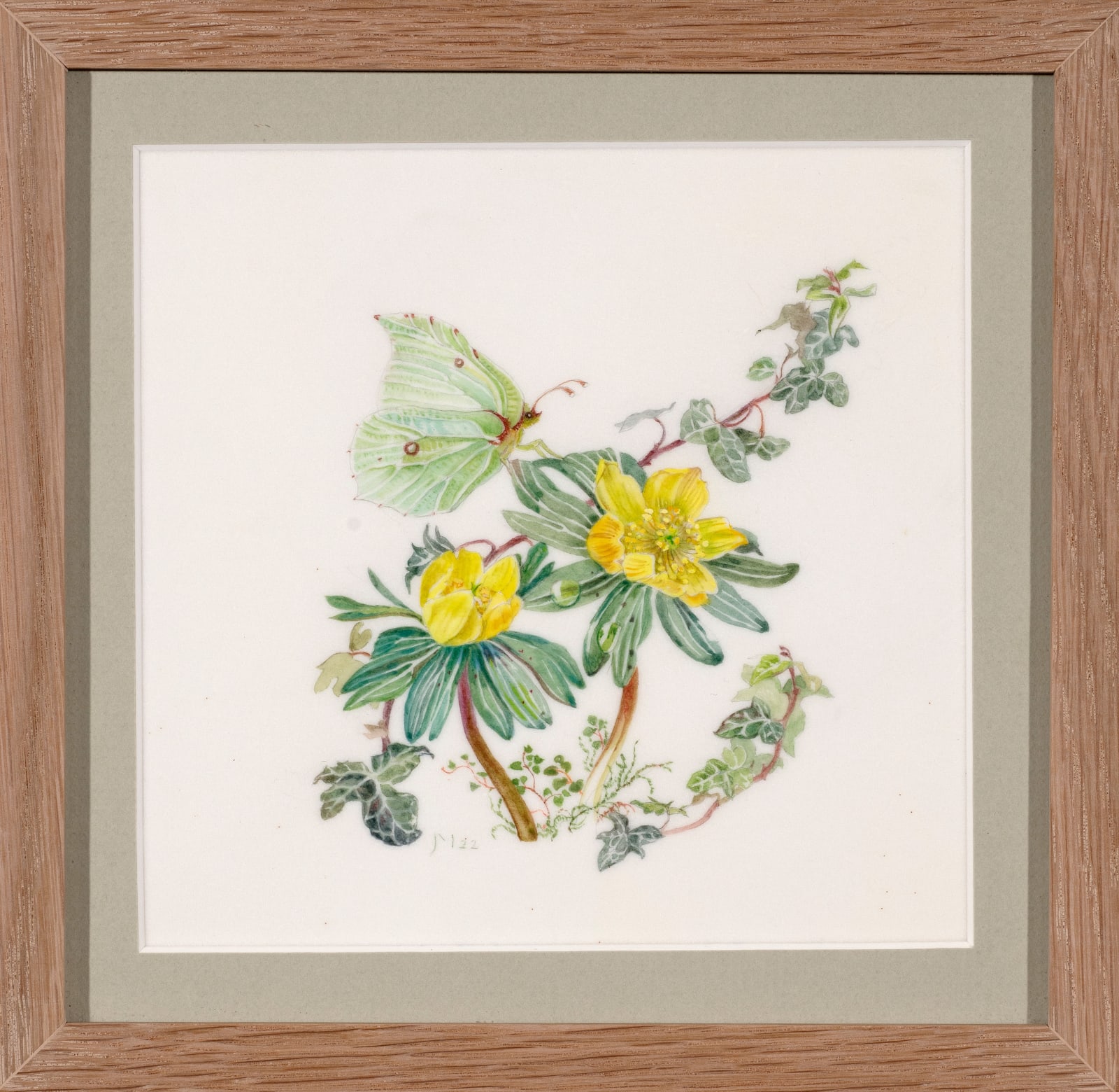 Janet Marsh, Aconite eranthis hyemalis and brimstone butterfly, 2022