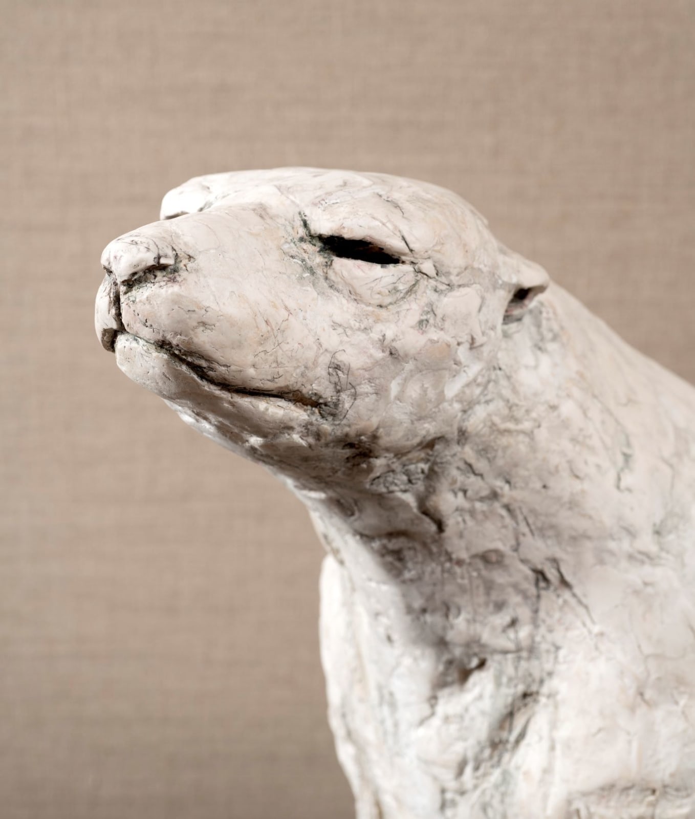Tanya Brett, Polar Bear 1, 2024