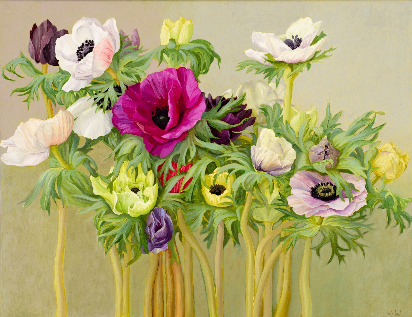 Jane Wormell, Anenomes 2