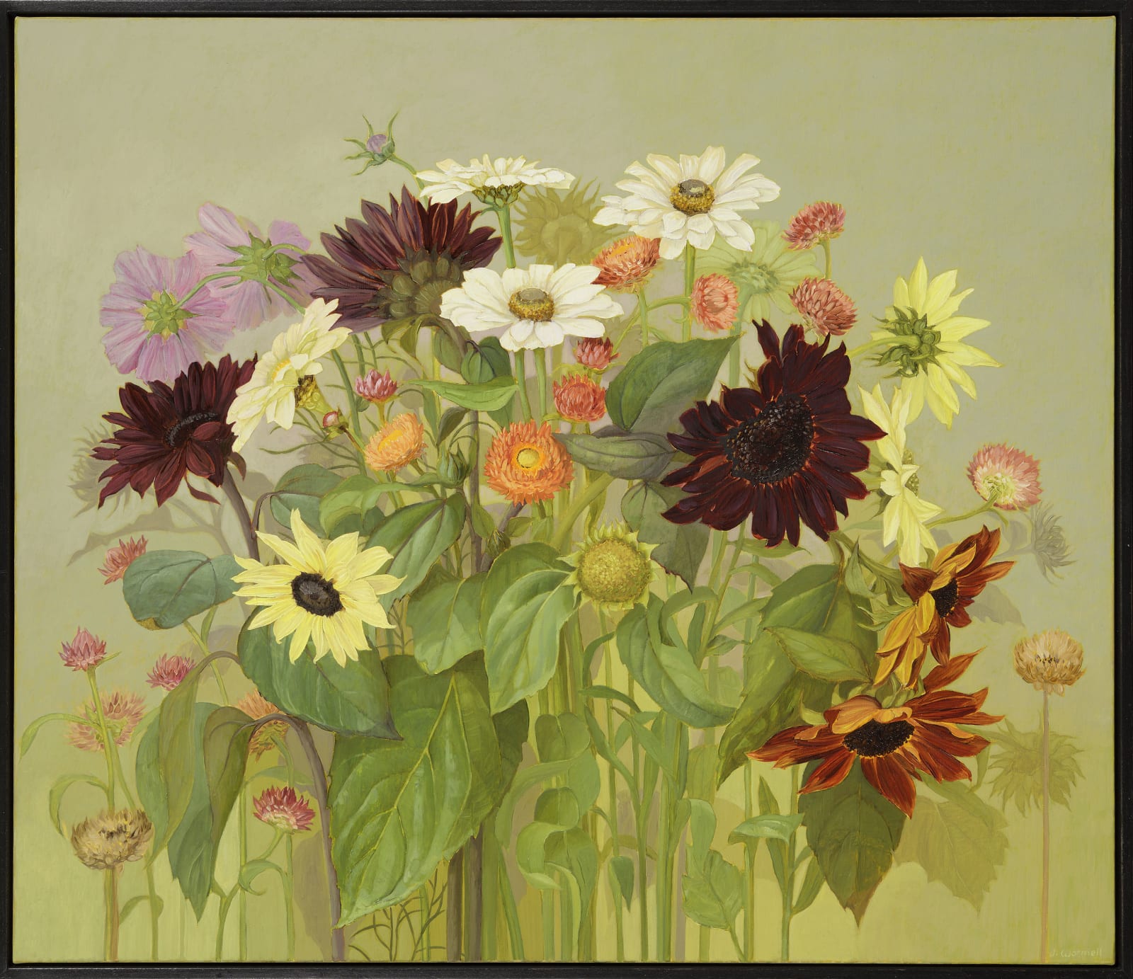 Jane Wormell, Late Summer Flowers, 2020