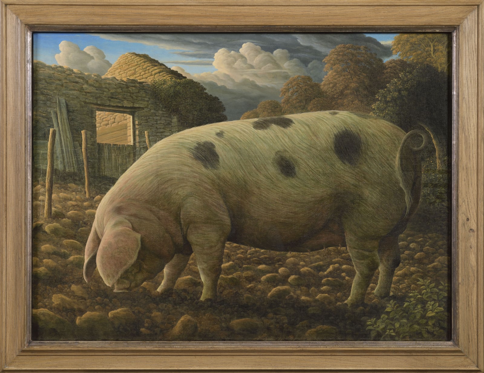 James Lynch, Old Spot Pig , 1988