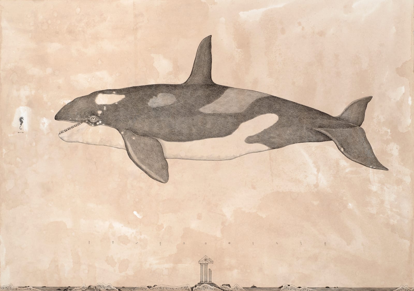 Andrea Collesano, VIXIT, 2022