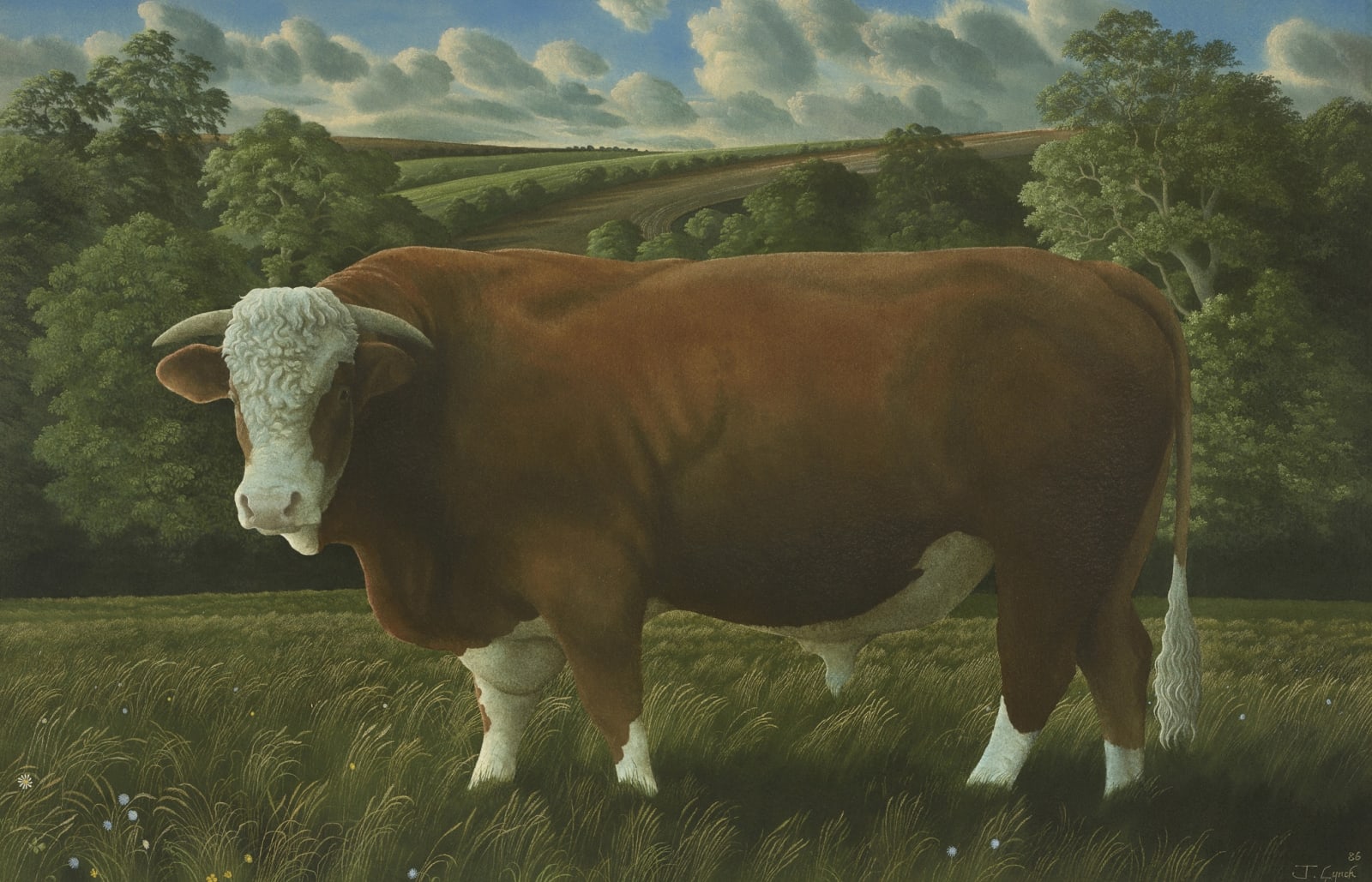 James Lynch, The Hereford Bull