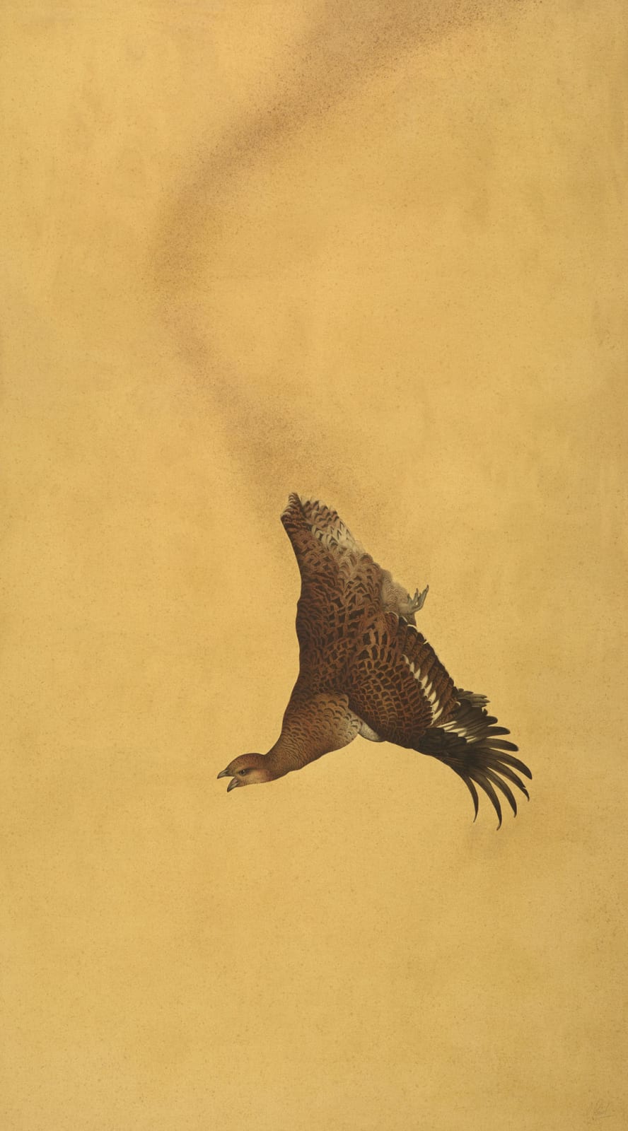 Steven Porwol, Black Grouse Hen