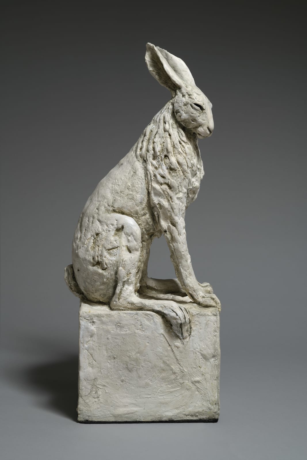 Tanya Brett, Hare VIII