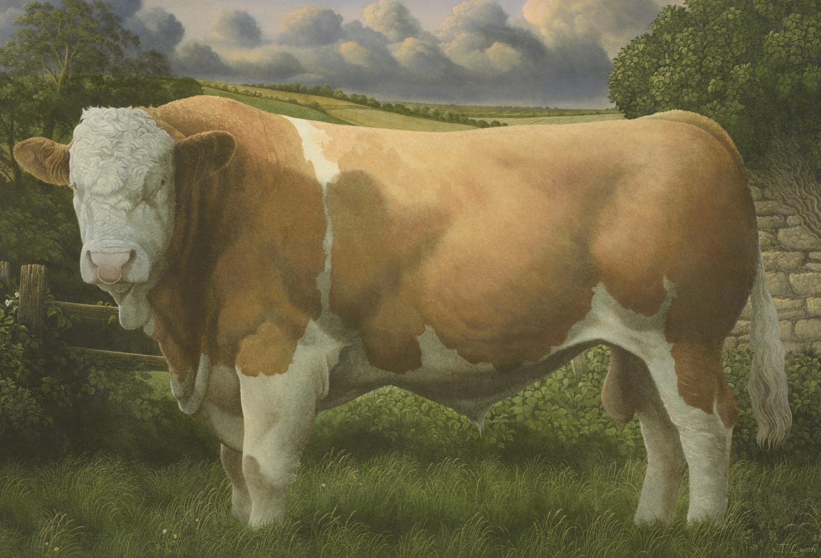 James Lynch, Hereford Bull