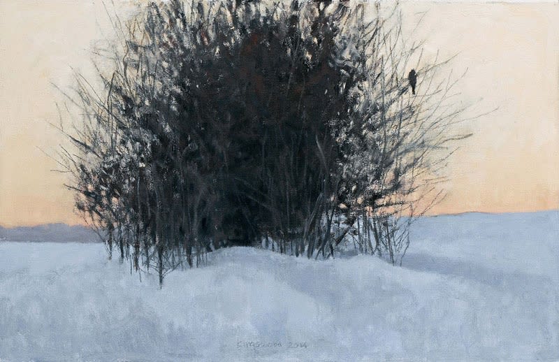 Ron Kingswood, Dawn