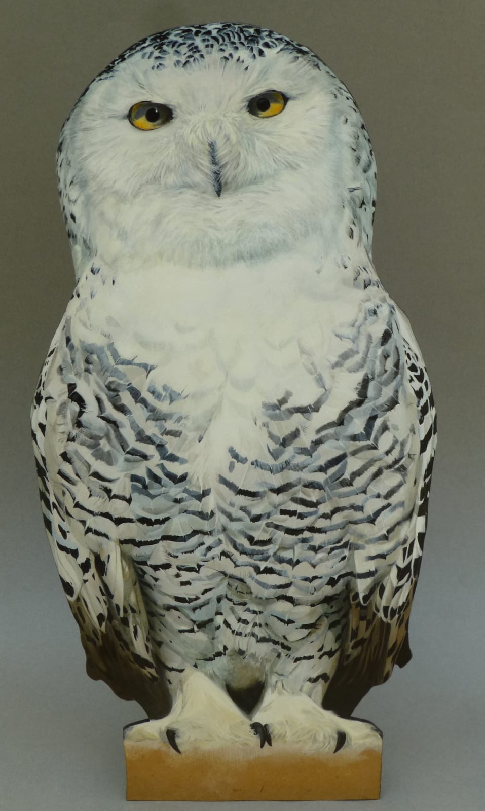 Camilla Clutterbuck, Snowy Owl
