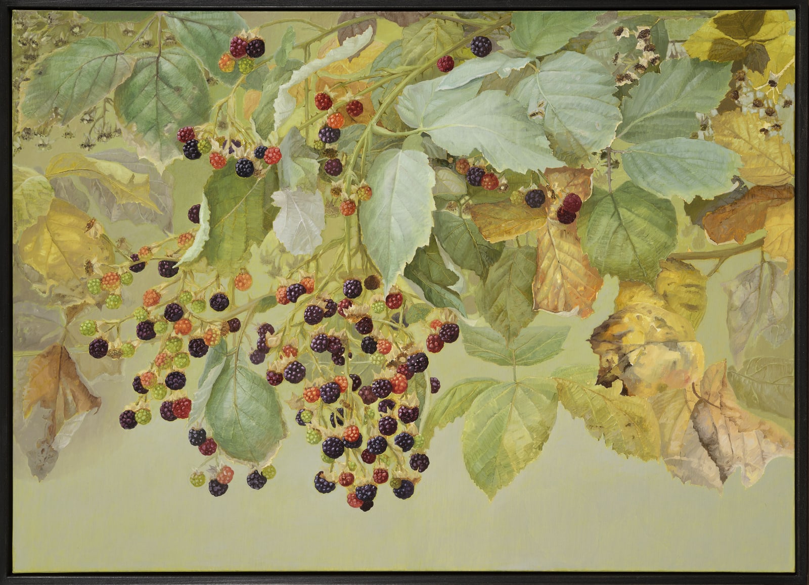 Jane Wormell, Blackberries, Early Autumn, 2020