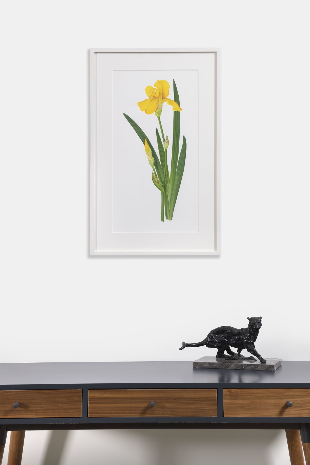 Kate Nessler, Bearded Iris Yellow