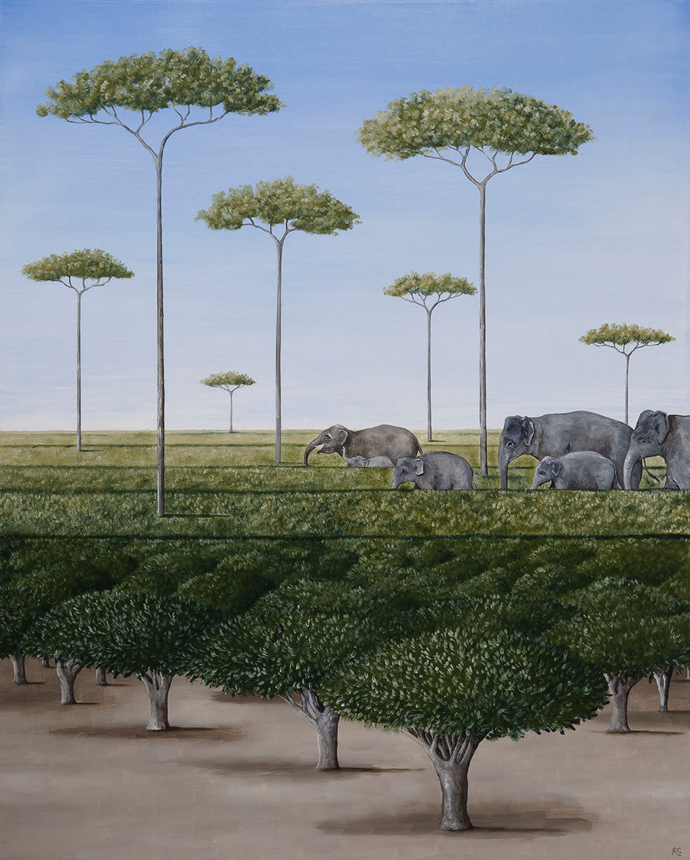 Rebecca Campbell, The Tea Plantation