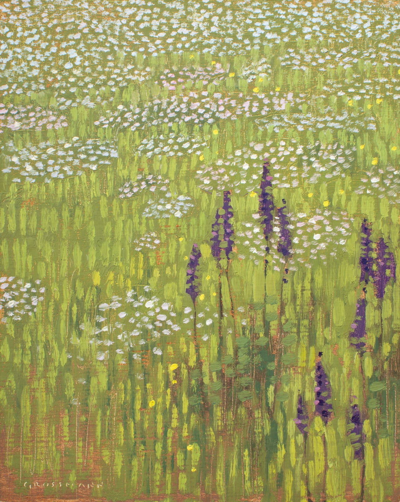 David Grossmann, Wildflowers in Morning Sun