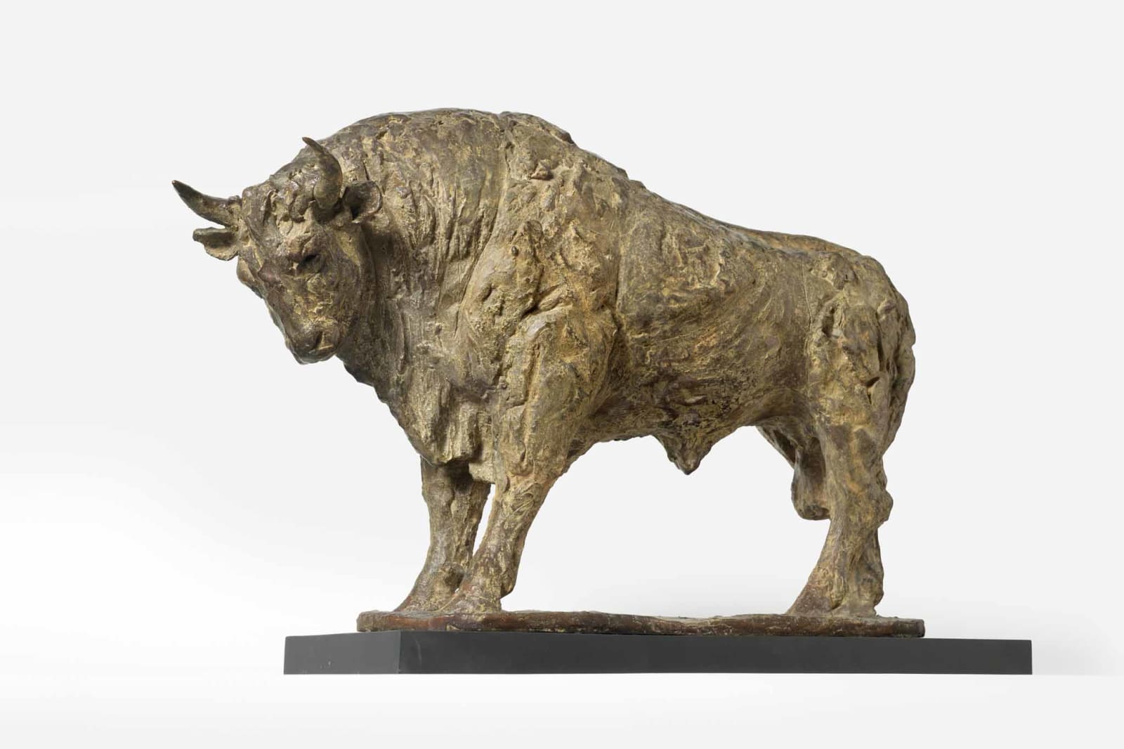 Tanya Brett, Miura Bull