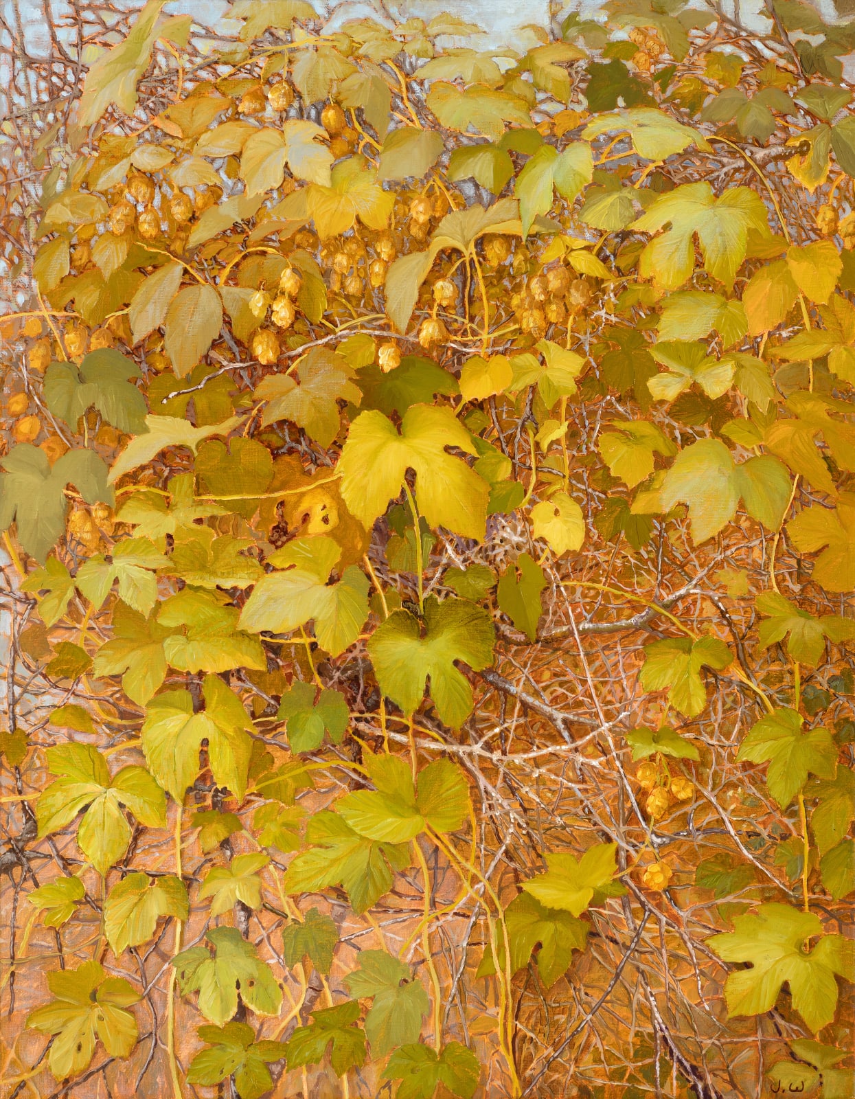 Jane Wormell, Golden Hops