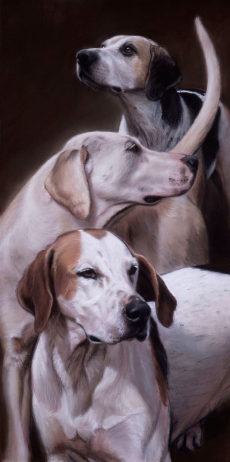 Gary Stinton, VWH Foxhounds
