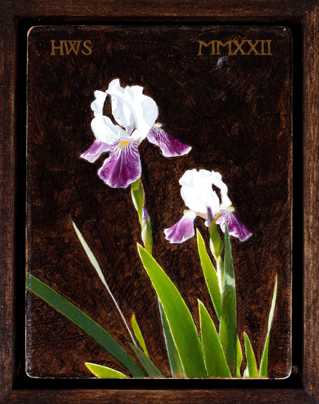 Harry Steen, Glowing irises, 2022