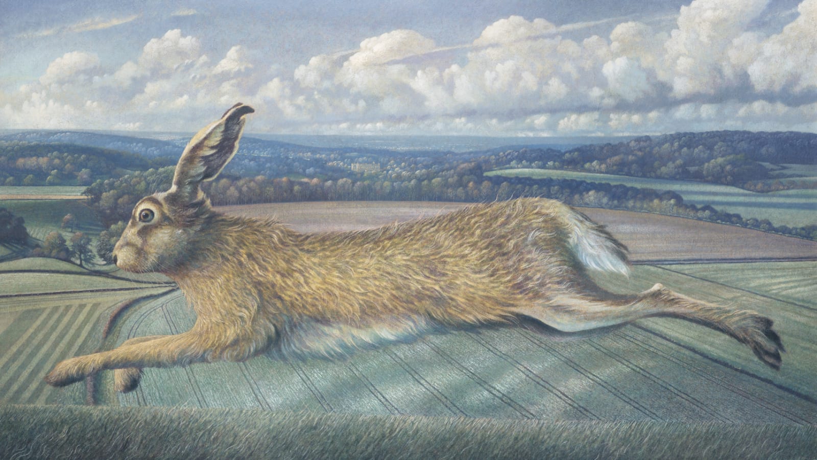 James Lynch, The Longleat Hare