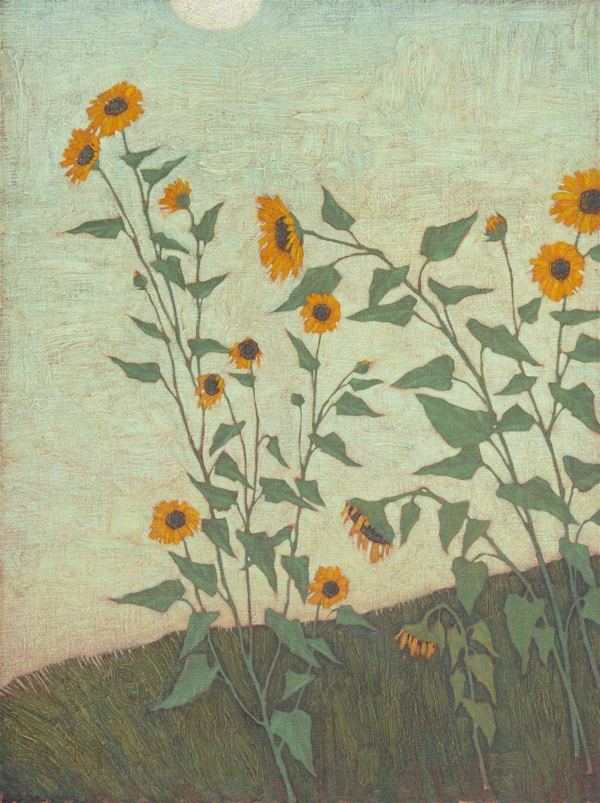 David Grossmann, Sunflowers on Green, 2024