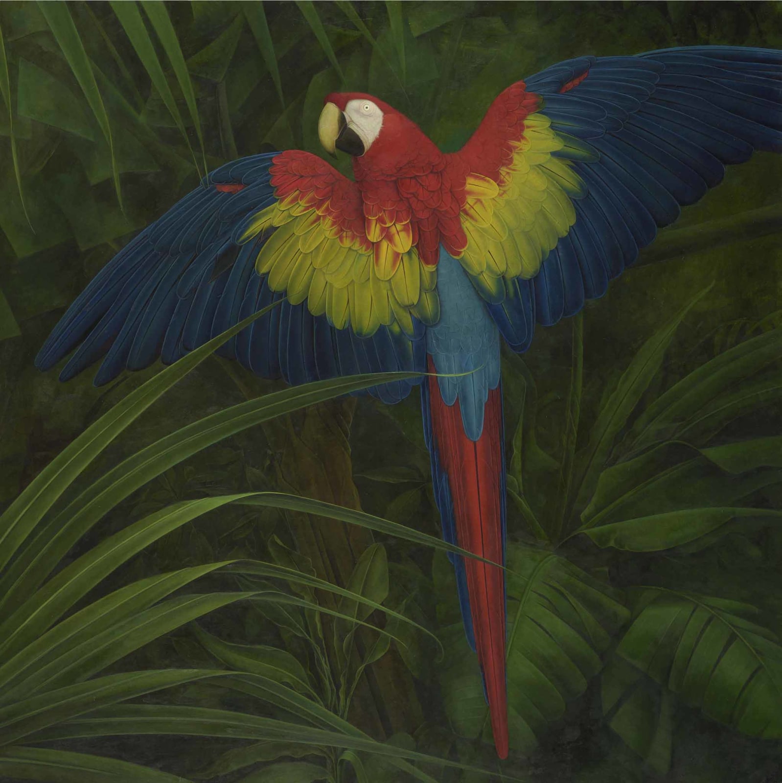 Elizabeth Butterworth, Scarlet Macaw
