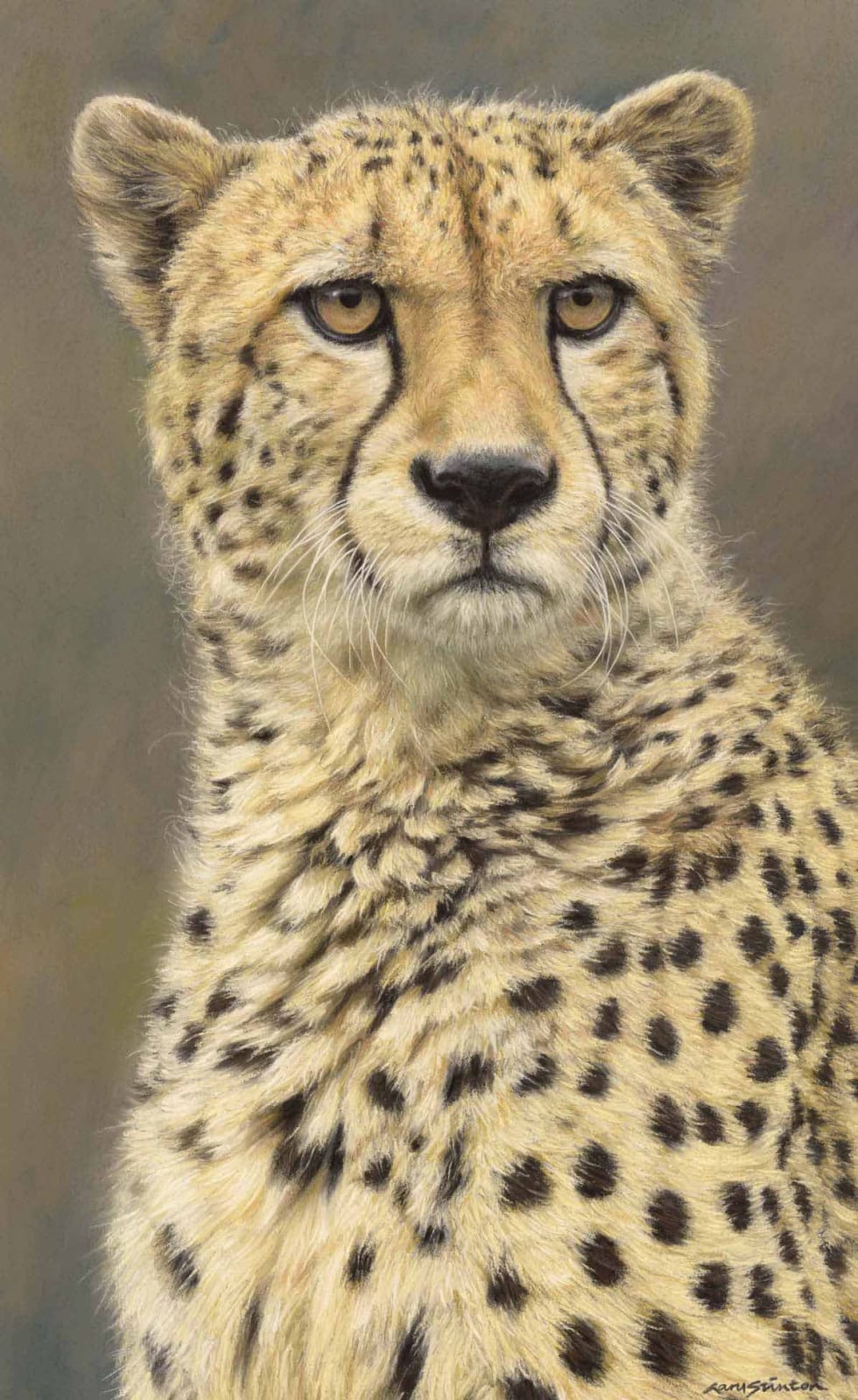 Gary Stinton, Cheetah - Large as Life VII