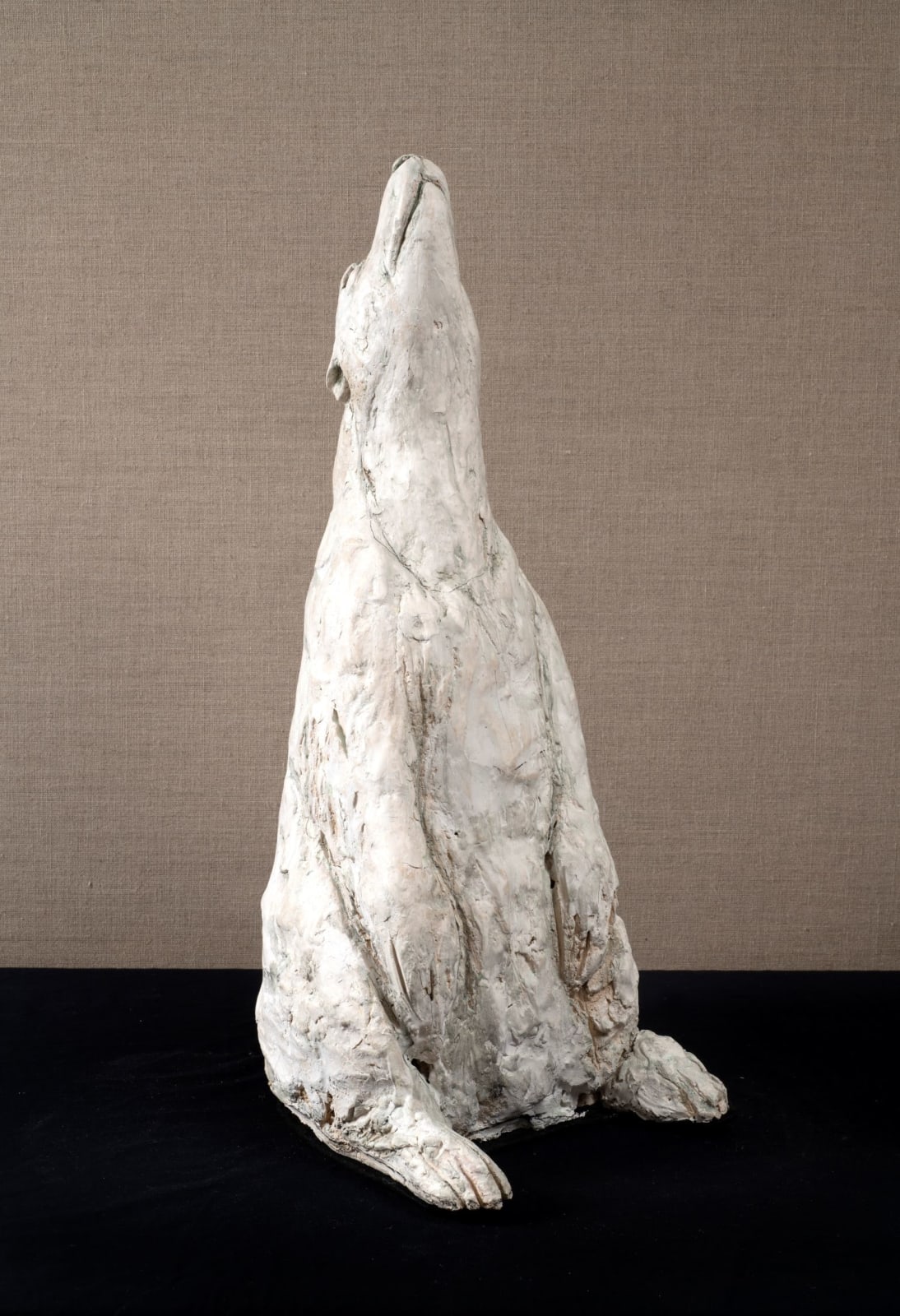 Tanya Brett, Polar Bear 2, 2024