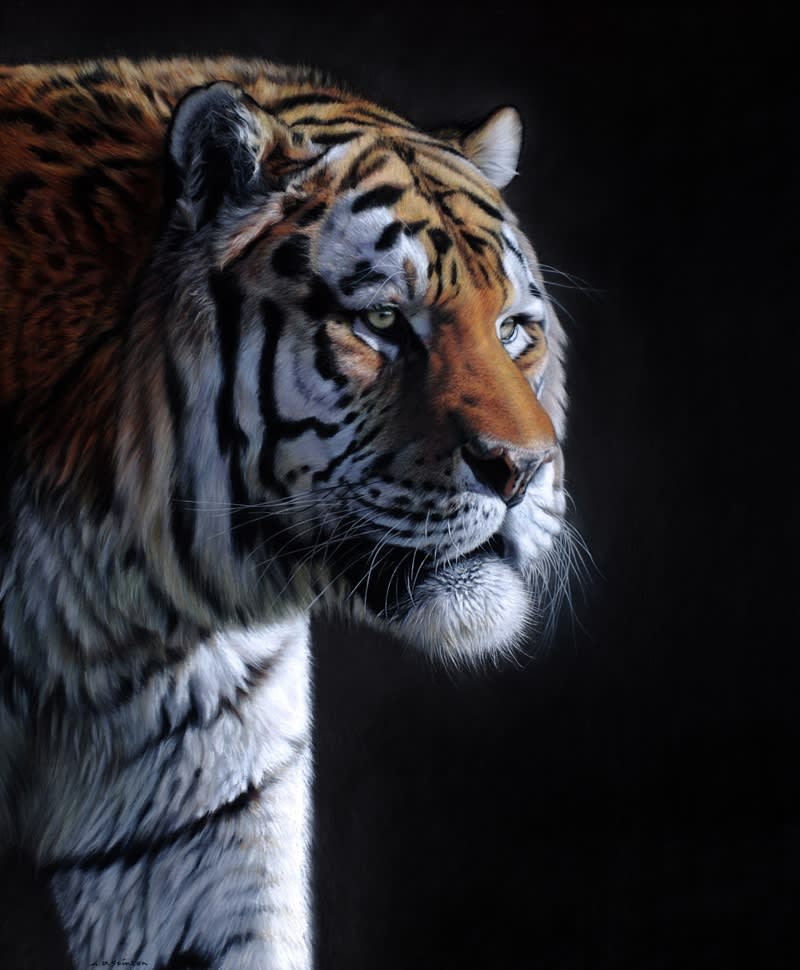 Gary Stinton, Amur Tiger