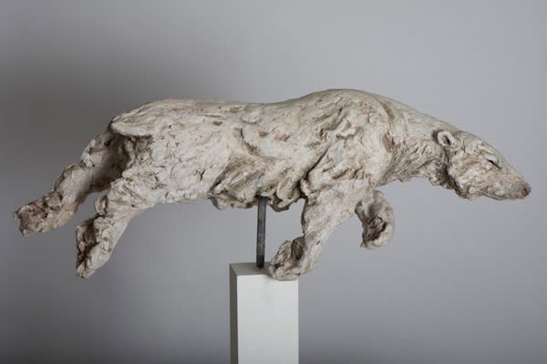 Tanya Brett, Swimming Bear