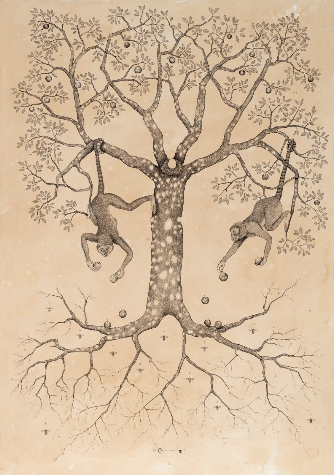 Andrea Collesano, Colligere (monkeys ) , 2022