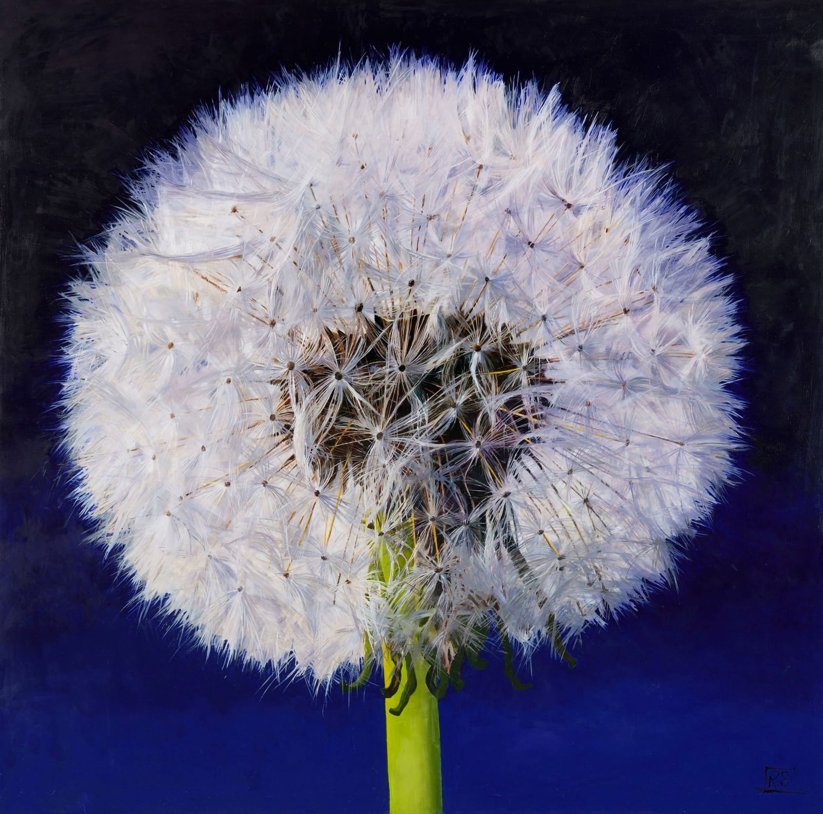 Rosie Sanders, Two Minutes To Midnight, 2022