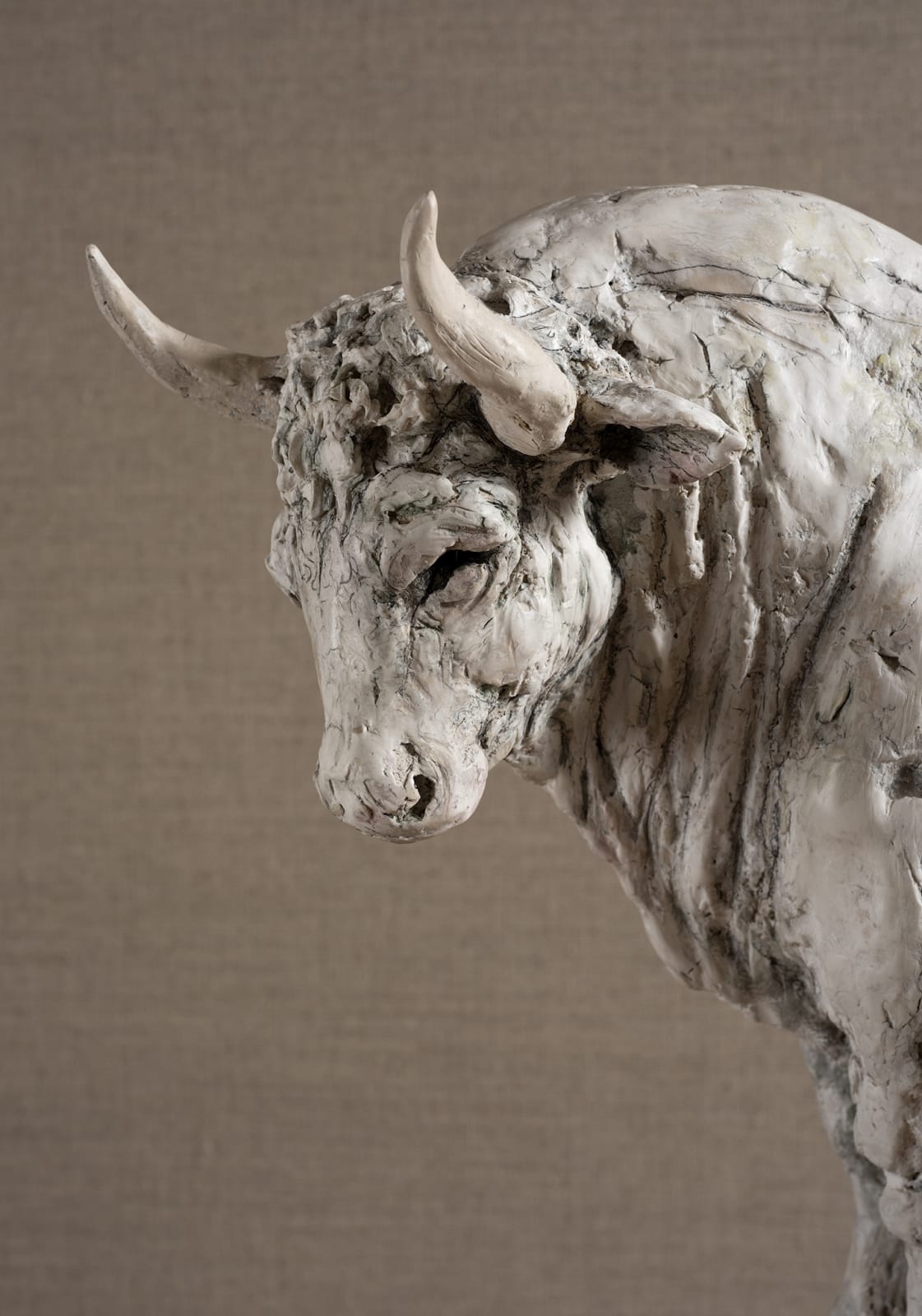 Tanya Brett, Ferdinand the Bull