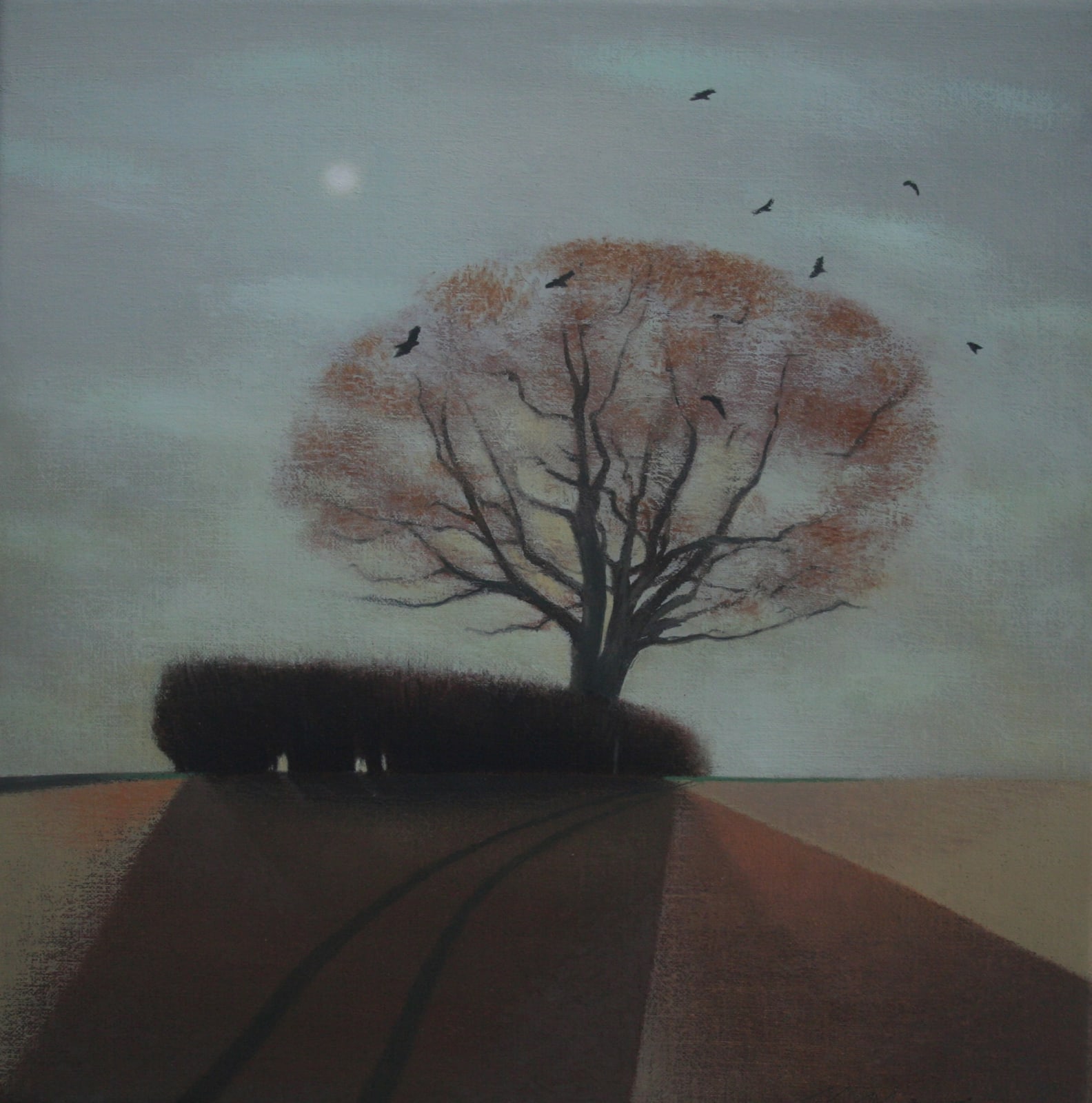 Tom Mabon, A Cloud came over the Sun