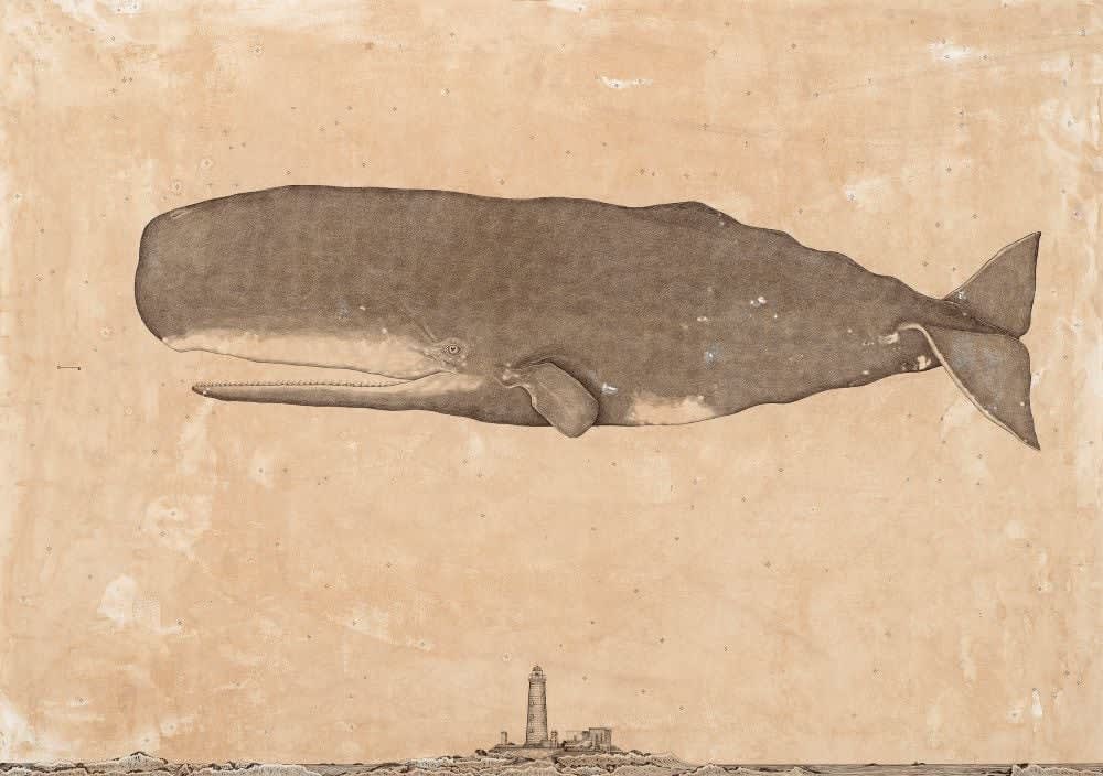 Andrea Collesano, PHYSETER MACROCEPHALUS ( Whale ), 2025