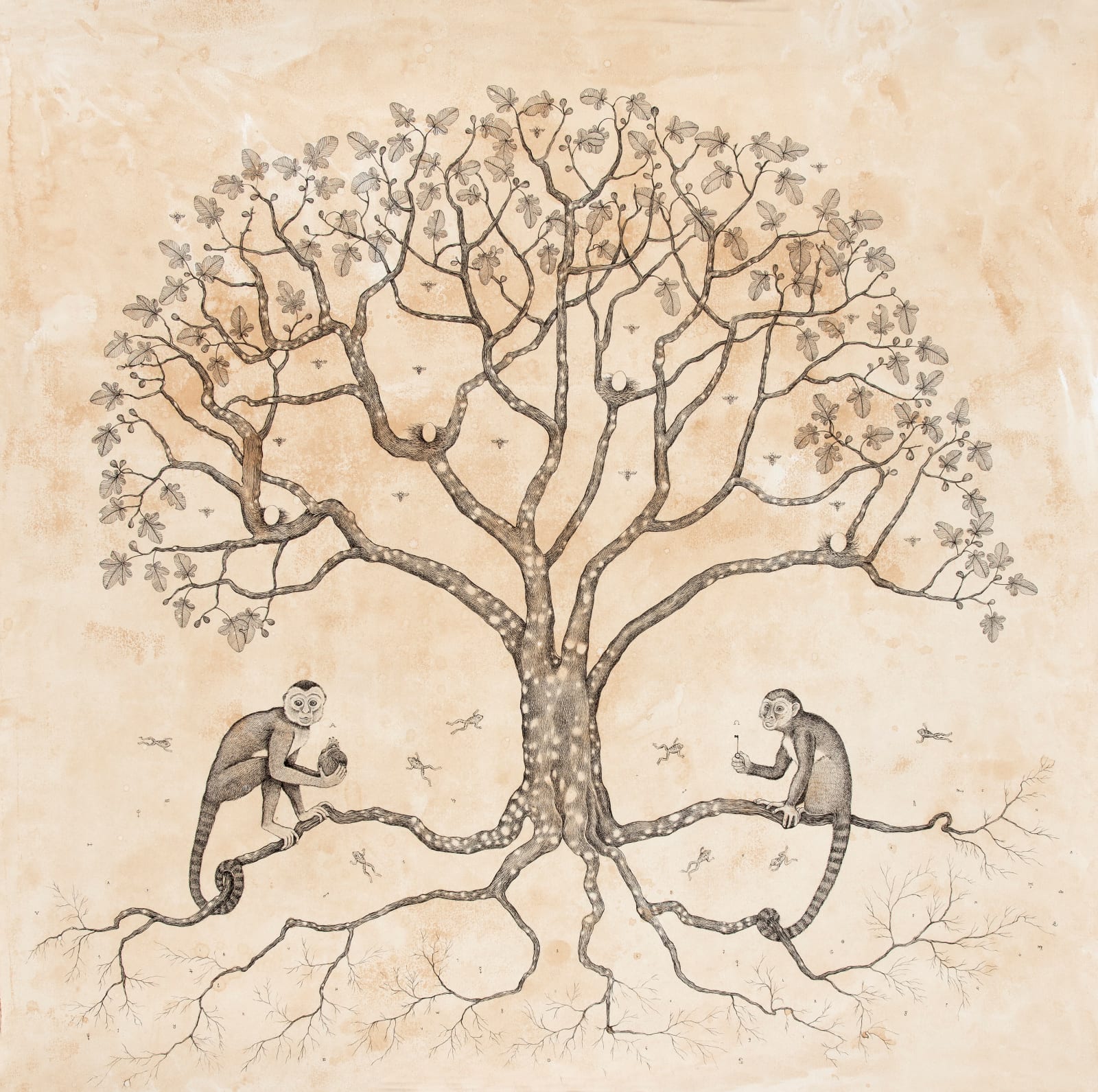 Andrea Collesano, Praesidium, 2023