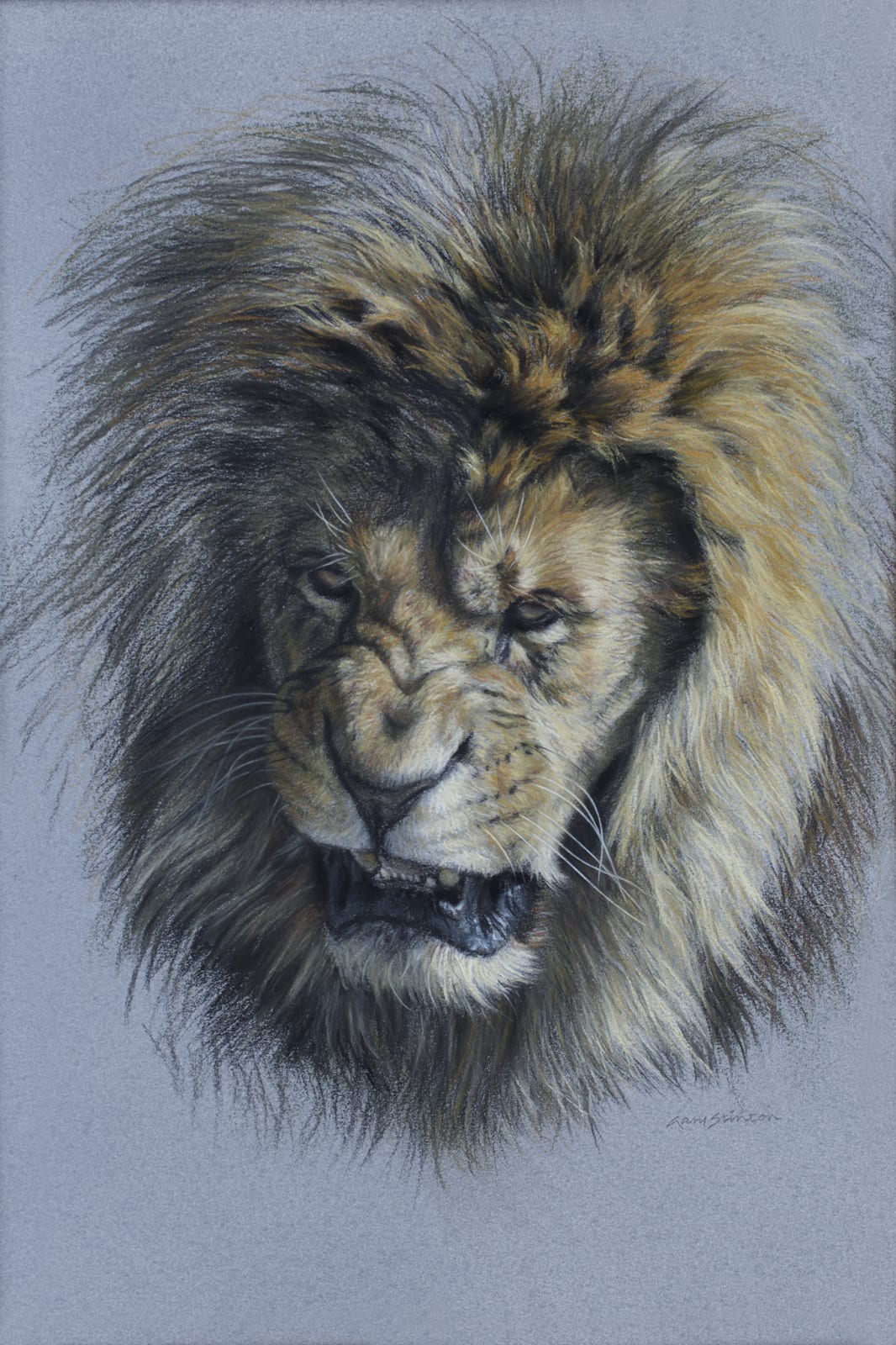 Gary Stinton, Study of Snarling African Lion