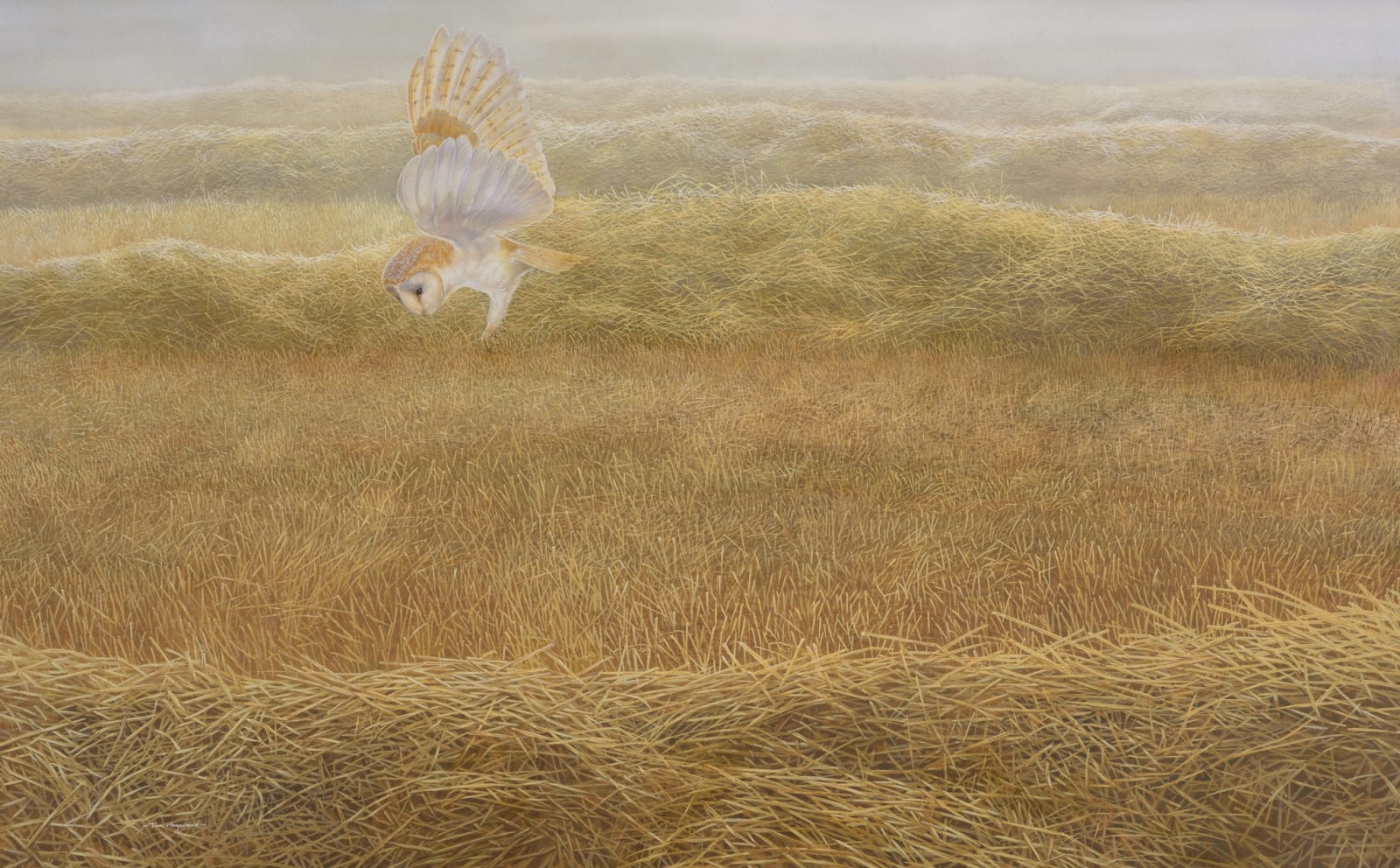 Tim Hayward, Barn Owl