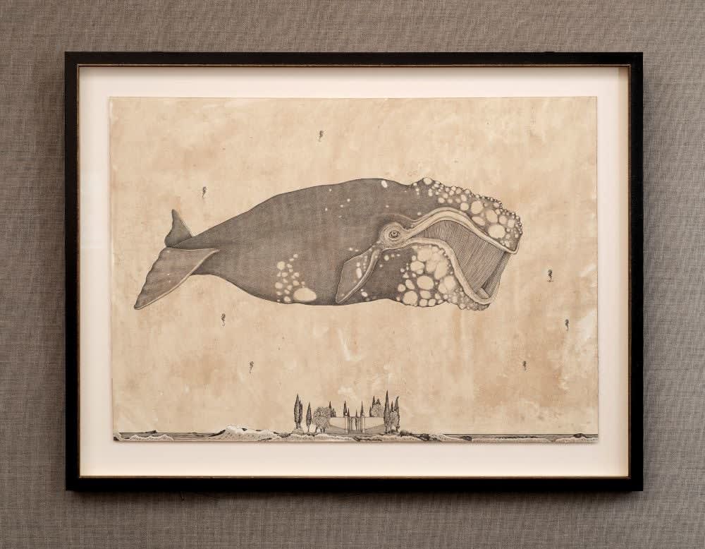 Andrea Collesano, BALENOPTERA ( Whale ), 2025