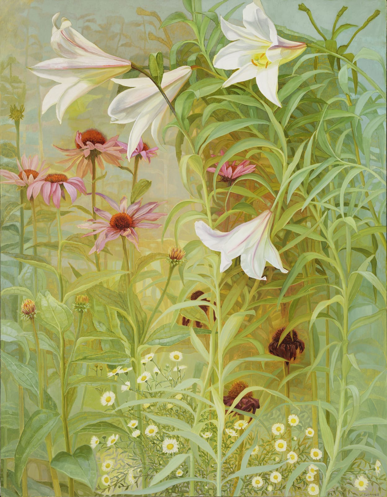 Jane Wormell, Lilies, Echinacea and Daisies