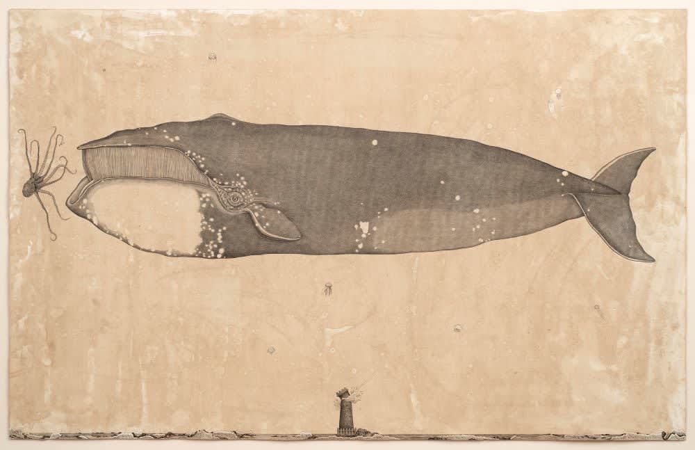 Andrea Collesano, MAGNUS BALAENA MYSTICETUS (Whale), 2025