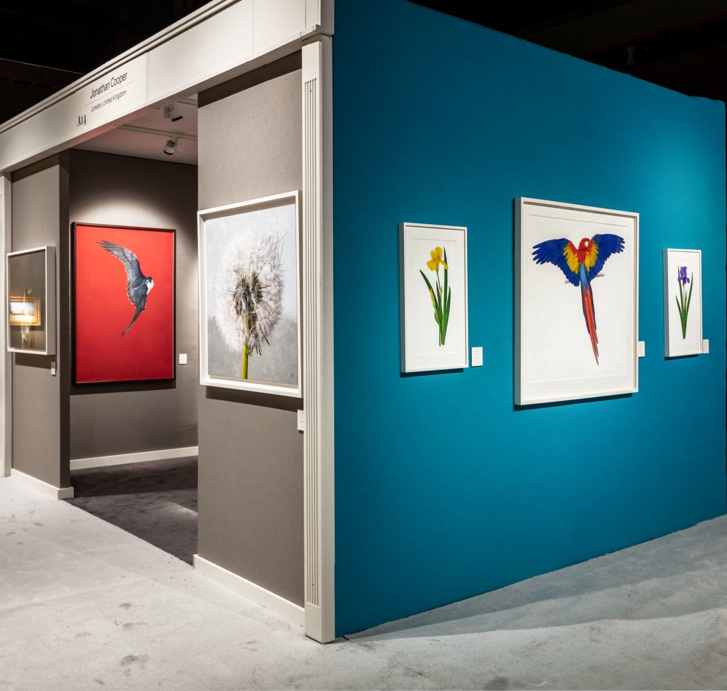 Kate Nessler, Bearded Iris Yellow