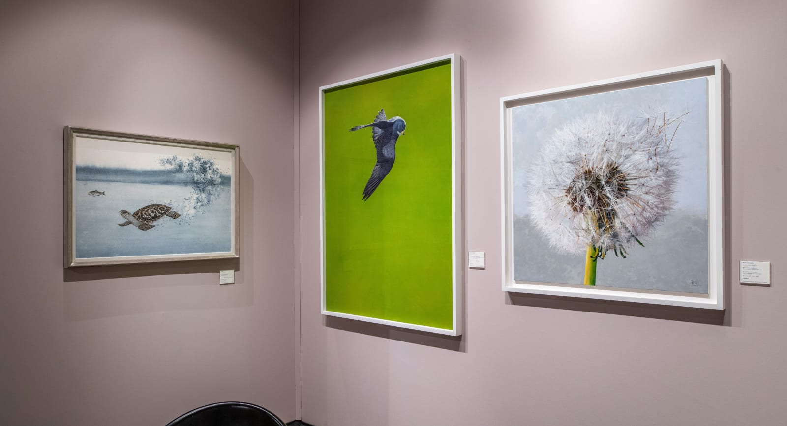 Tim Hayward, Peregrine Falcon - Green, 2023