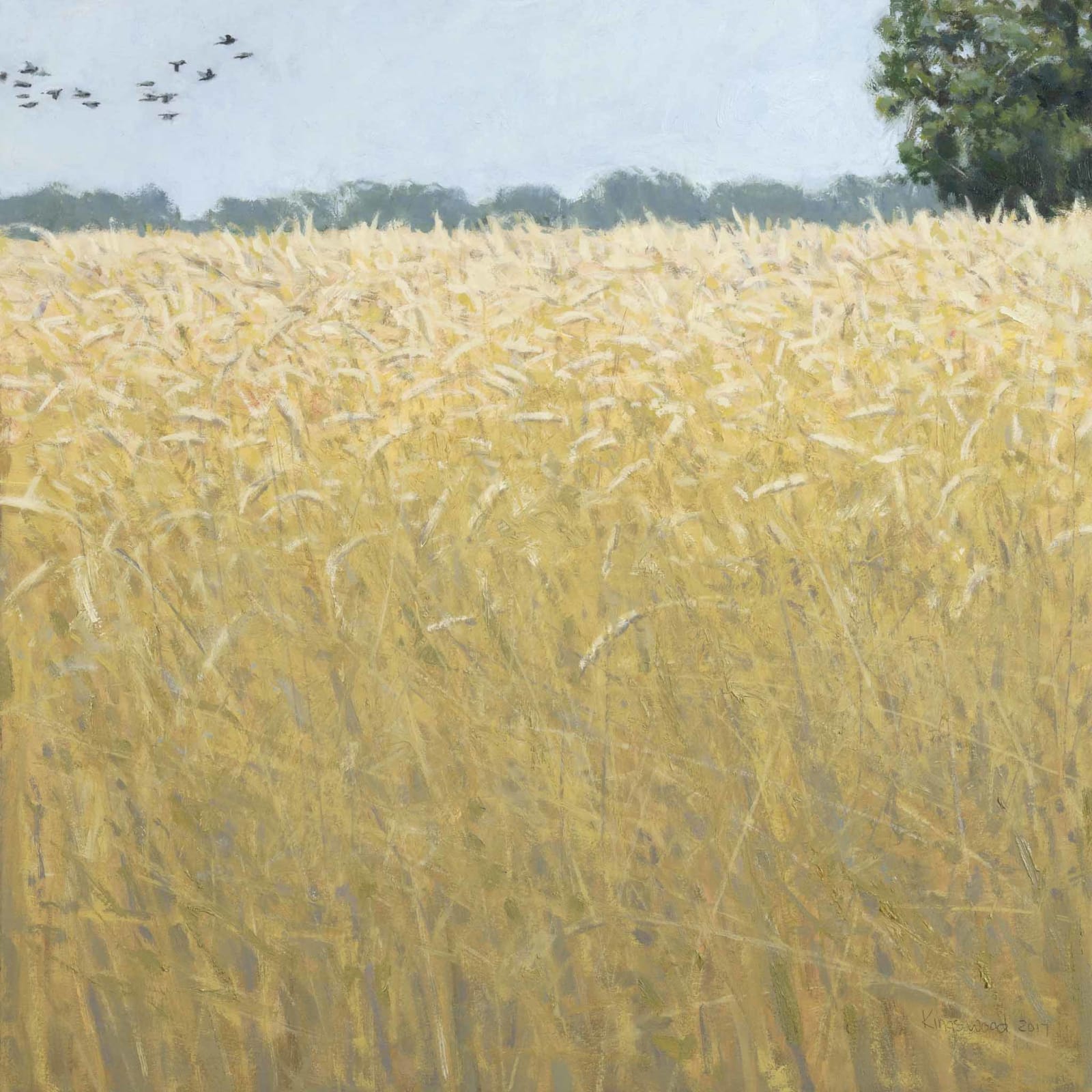 Ron Kingswood, Wheat Field