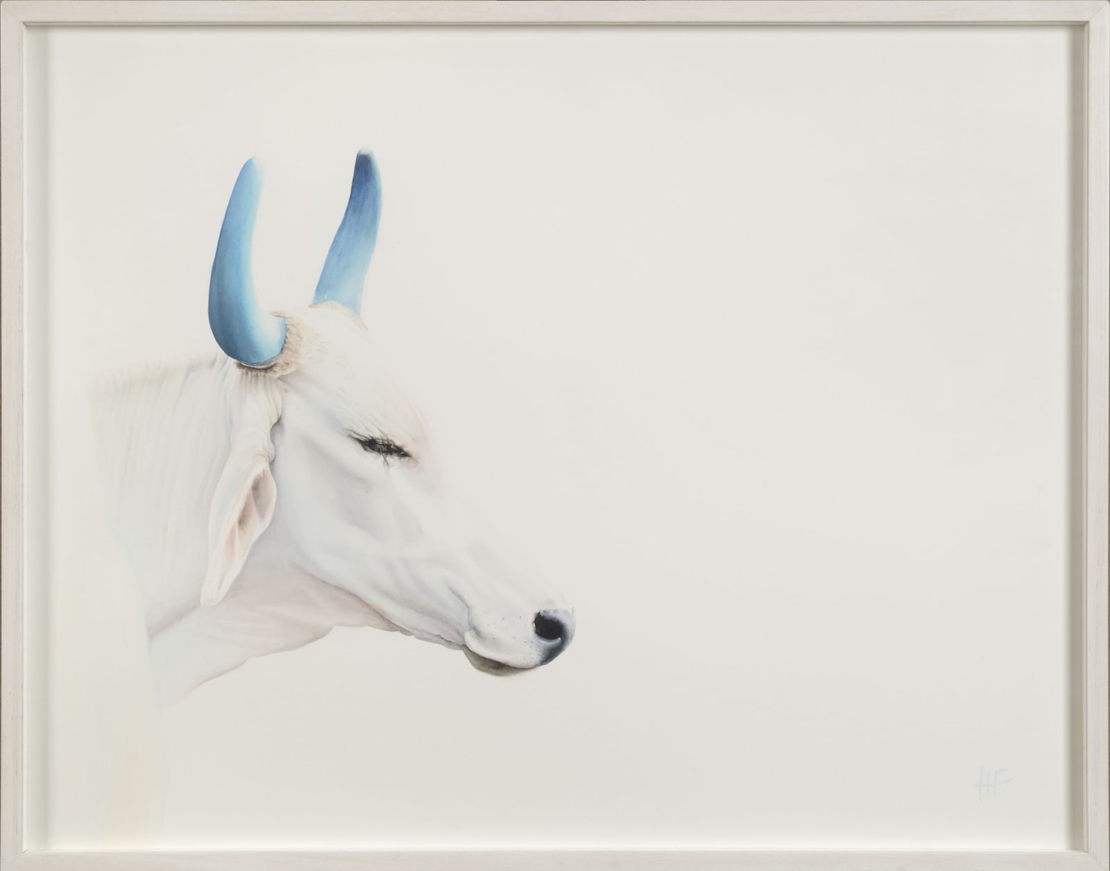 Peter Haslam-Fox, Holy Cow - Blue