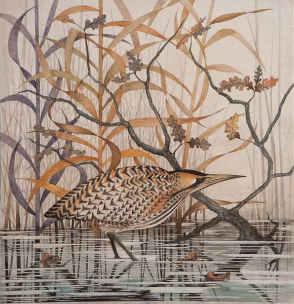 Harriet Bane, Bittern in the Reeds