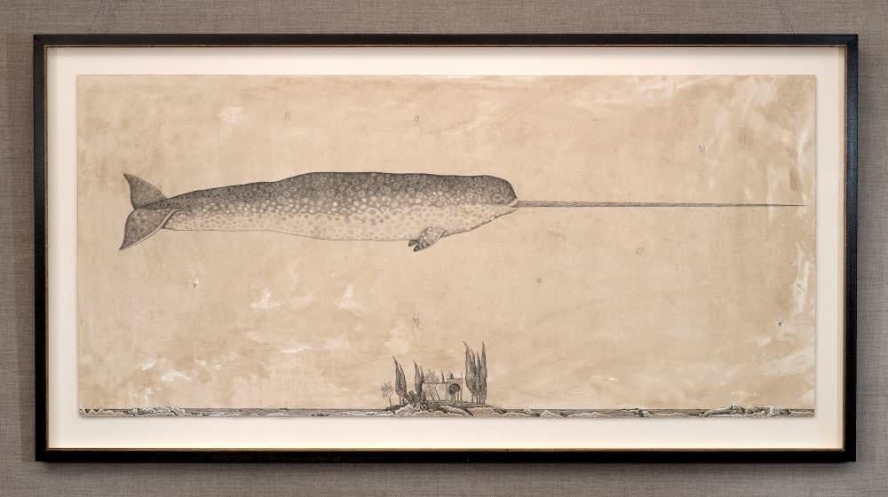 Andrea Collesano, MONODON MONOCEROS ( Narwhal ), 2025