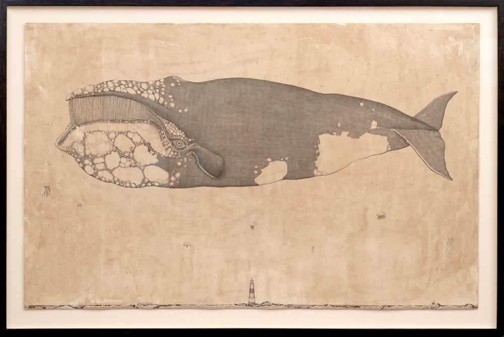 Andrea Collesano, Preghiera (Whale) , 2025
