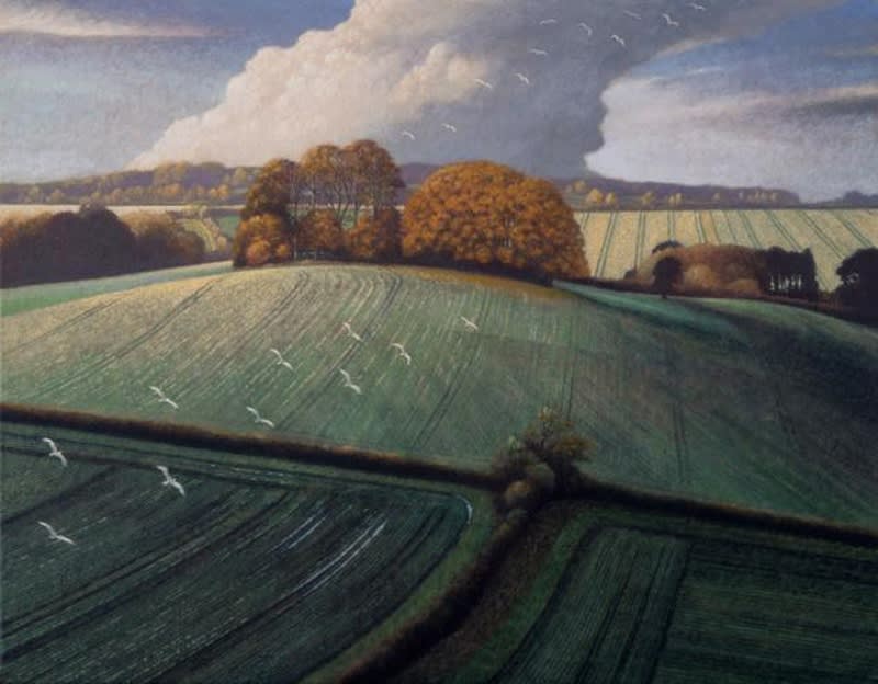 James Lynch, Seagulls, Brimble Lea Clump