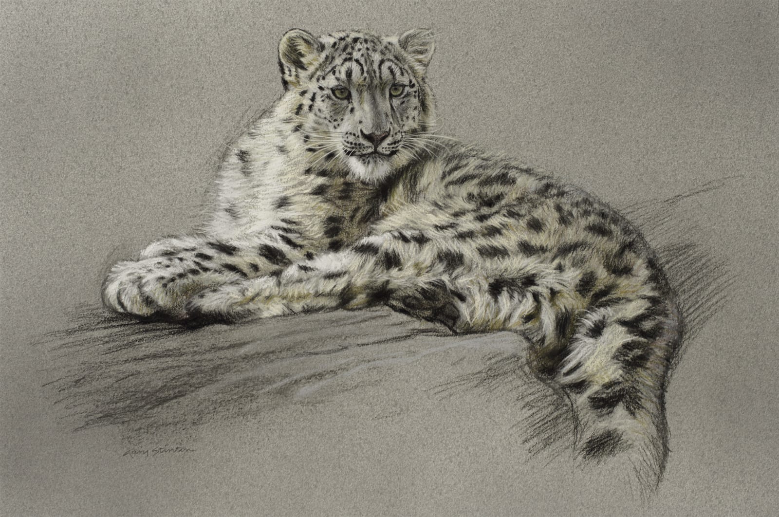Gary Stinton, Study of Recumbent Snow Leopard Cub