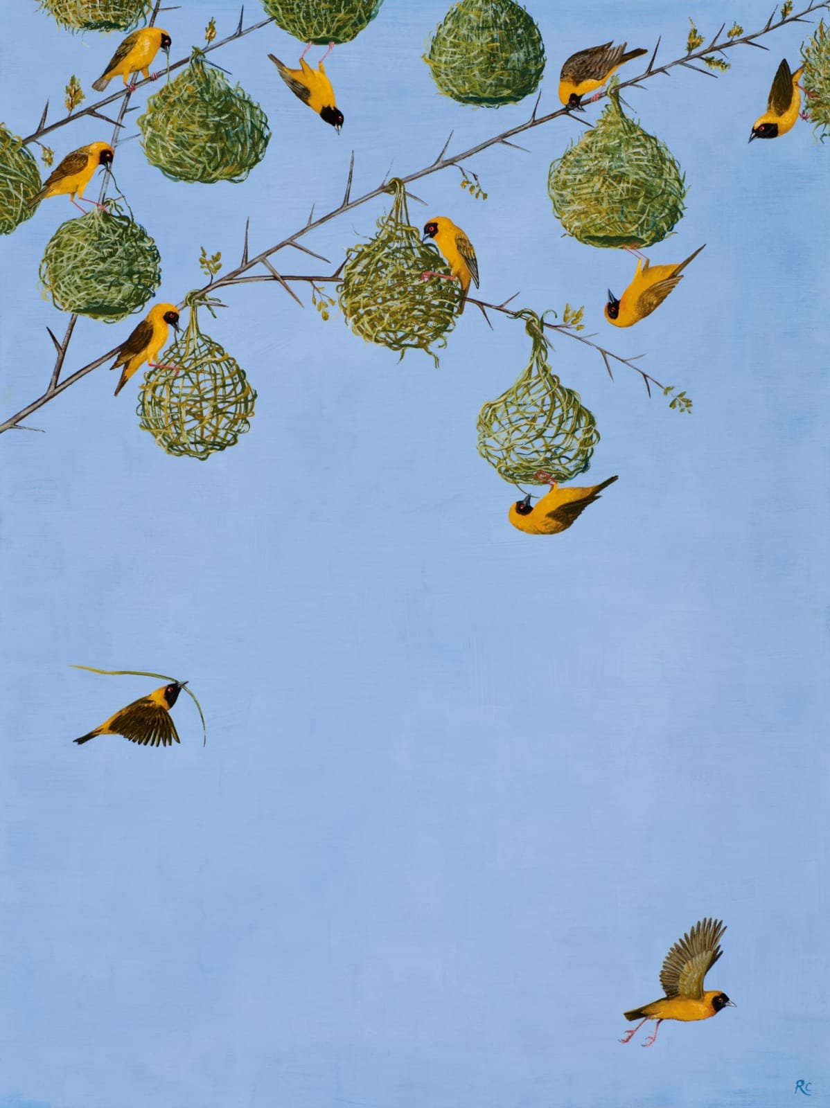 Rebecca Campbell, The Worshipful Company of Weavers, 2024